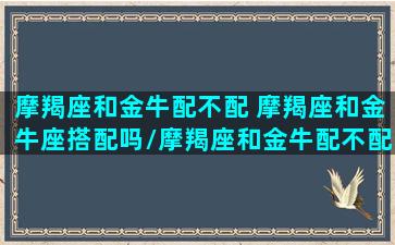 摩羯座和金牛配不配 摩羯座和金牛座搭配吗/摩羯座和金牛配不配 摩羯座和金牛座搭配吗-我的网站